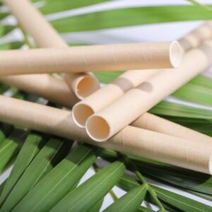 Ống Hút Cỡ Đại 10mm