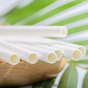 Ống Hút Cỡ Lớn 8mm