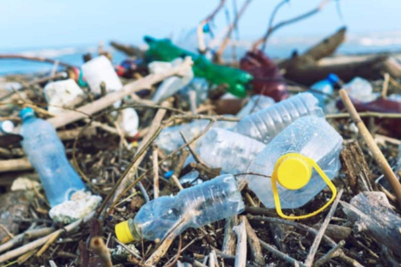 Bao bì thân thiện với môi trường tại Ecocare.