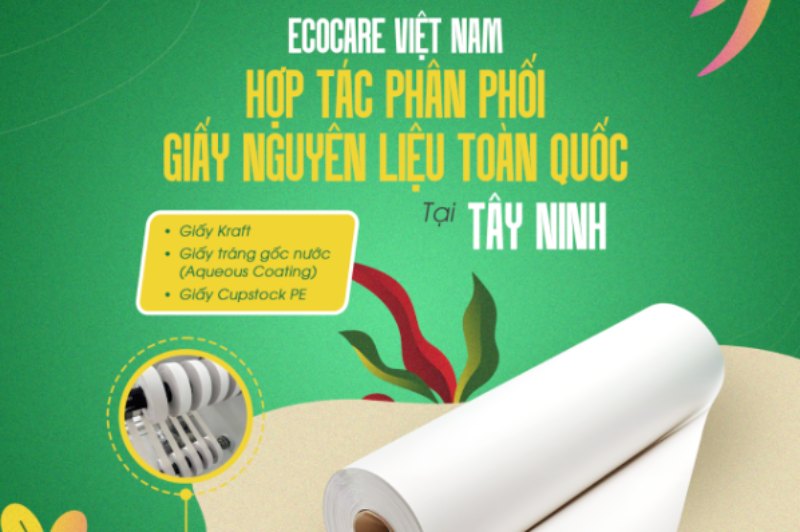Ecocare Việt Nam cung cấp giấy Kraft chất lượng cao, giá tốt.